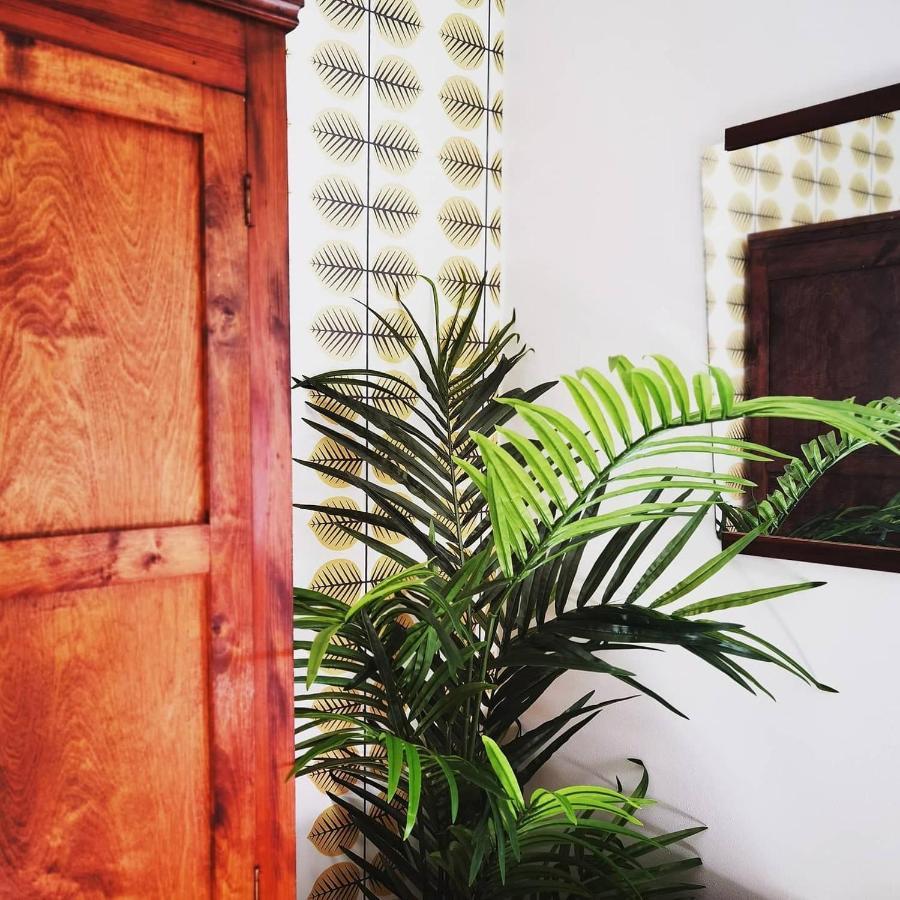 Villa Vintage B&B ナウヴォ エクステリア 写真