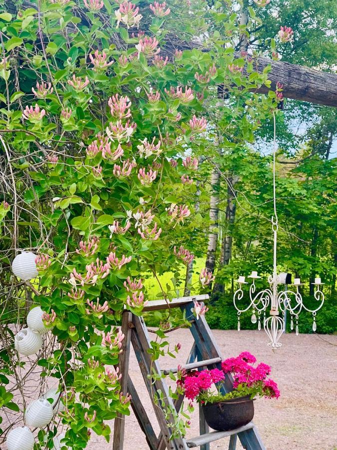Villa Vintage B&B ナウヴォ エクステリア 写真